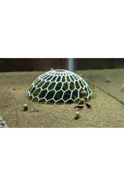 PUREYSMA ( 2 Adet ) Akvaryum Moss Dome – Yosun & Bitki Koruma Kubbesi