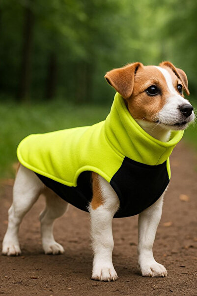 oyapet Köpek Yelek Termal Polar, Göğüste Su İtici Scuba (Dalgıç Kumaş), Hafif ve Şık Tasarım