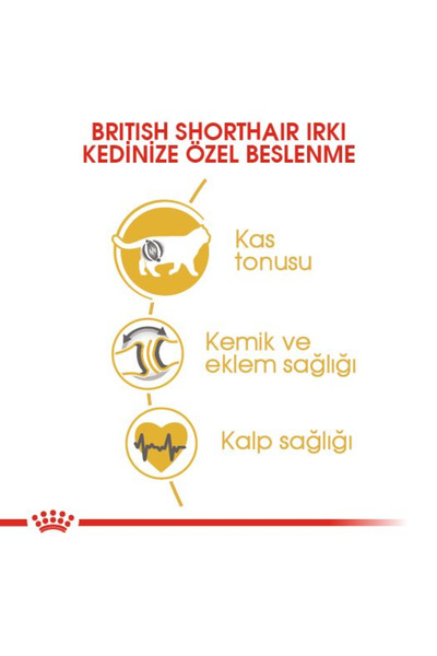 Royal Canin British Shorthair Adult Yetişkin Kedi Maması 400 Gr