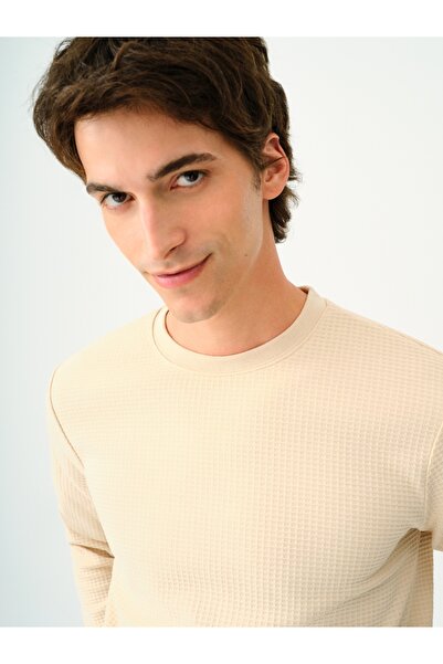 Loft Lf2035472 Tshirt U.Sleeve