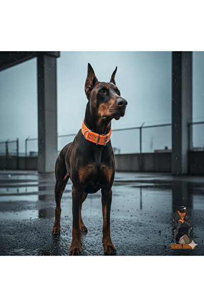 Tasma Market Turuncu Yumuşak Dokulu Dayanıklı Büyük Köpek Tasması