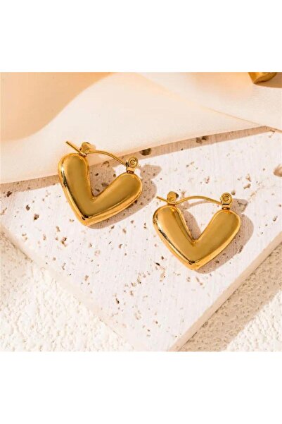 DEMOKAN Kadın Çelik Küpe Halka Model Kalp Küpe