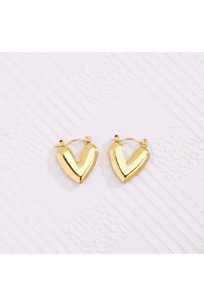 DEMOKAN Kadın Çelik Küpe Halka Model Kalp Küpe