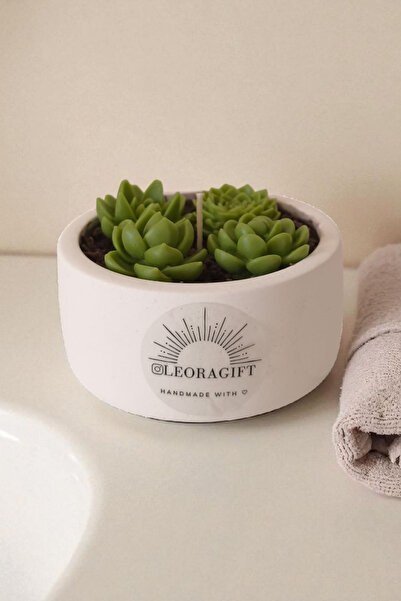 Handmade Sukulent soy wax mum