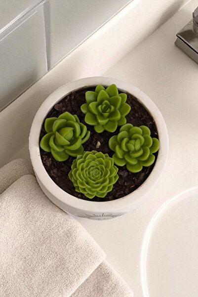 Handmade Sukulent soy wax mum