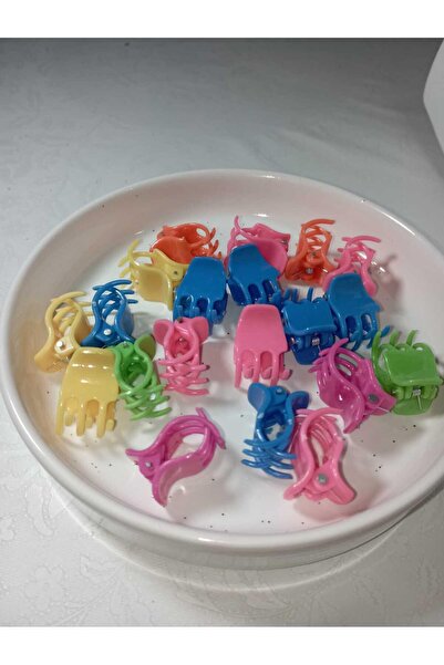 zeysu Mješovite boje, srednje veličine, kopča za zasun grablje (2 cm), 20 komada