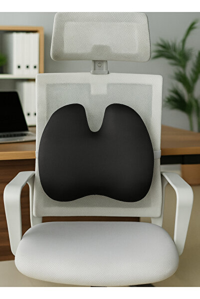PİLLOWART Ofis, Araba, Ev İçin Bel ve Omurga Destekli Ergonomik Minder