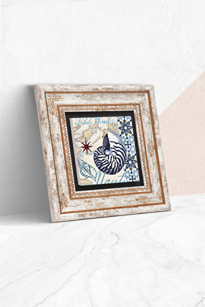 Pinecone Zidna slika u kamenu uokvirena morskom školjkom – Dekorativna modern...