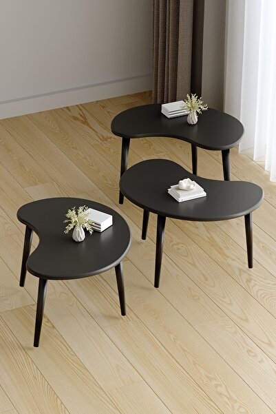 Harmonia Studio Dekoratif Modern Siyah Orta Sehpa (Tekli)