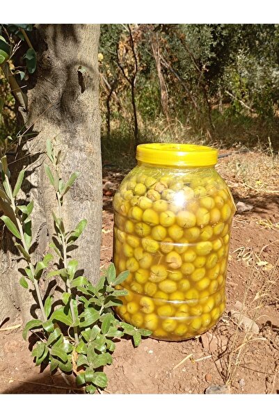 ZEYNA Kırma Yeşil Zeytin