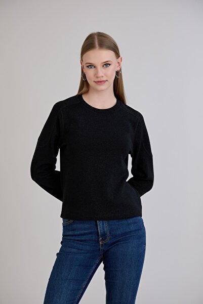 Sortie Women's Crew Neck Regular Fit Black Basic Glitter Knitwear