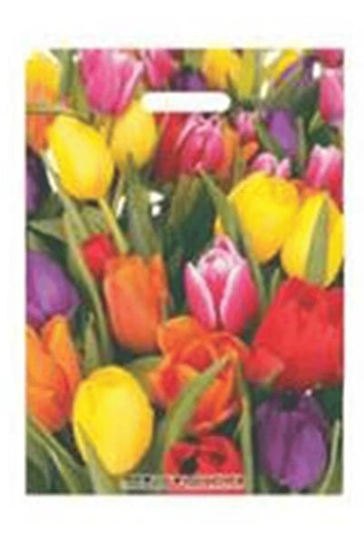 KENT Takviyeli Çok Renkli Poşet No:5 50*60 Cm 50 Ad