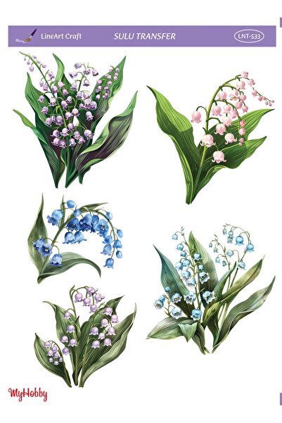 LİNEART Sulu Transfer No:LNT533-25x35cm