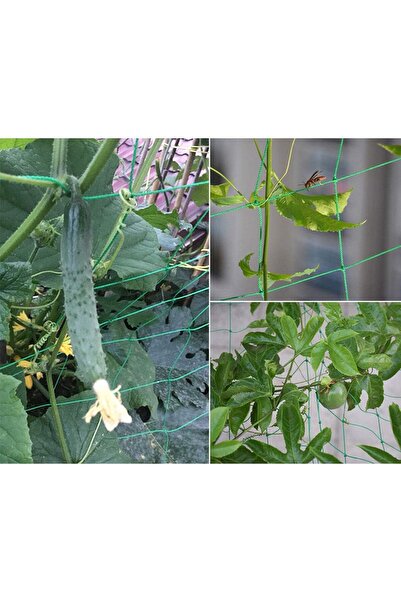 ANYUNKEY Climbing plant support net, 2X10m, with clips and strips, vegetable support, cucumbers, tomatoes