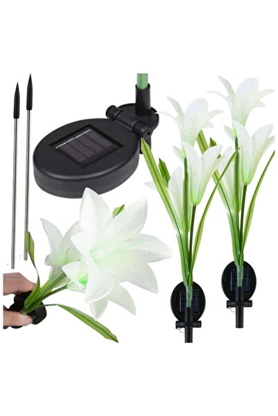 Other Lampă solară cu LED, set de 2 lămpi de grădină cu flori IP 44 GoGarden