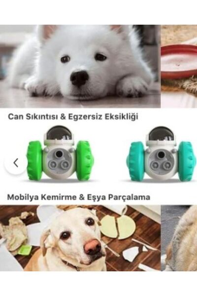 Sevimli Petstore Yeni Nesil Kedi ve Köpek İnteraktif Mama Dağıtıcı Ödül Maması Atıcı Robot