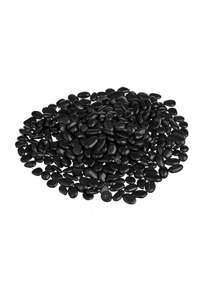 SHOPIENS Pietre Decorative Negre Lucioase 15-25mm 1kg pentru Aranjamente