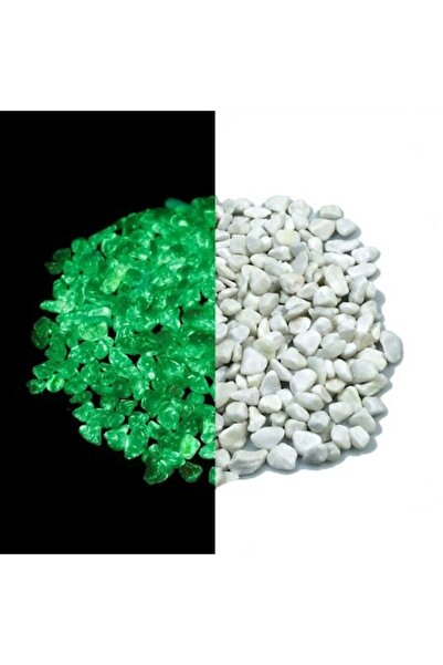 SHOPIENS Pietre Decorative Albe Fluorescente Glow in the Dark 5-8mm 550g pentru Gradina si Decor