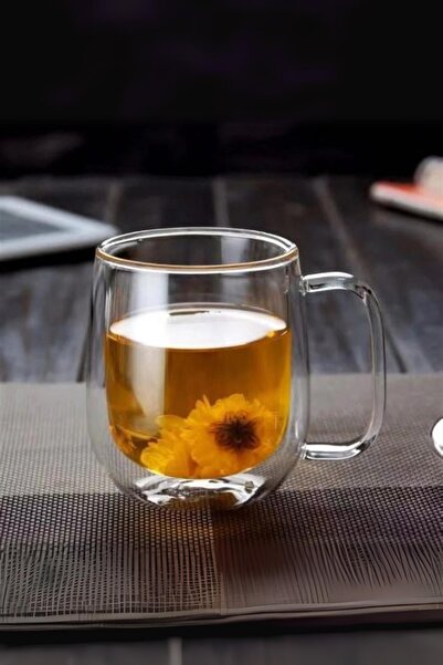 EWs Glass Double Wall Cup 350 ml
