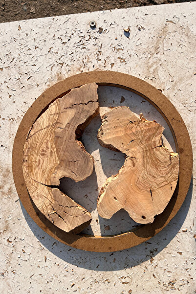 İhlas Ahşap Epoksi Projeleri İçin 30 Cm Yuvarlak Ham Zeytin Ağacı Parçaları Kurutulmuş, Planyalanmış