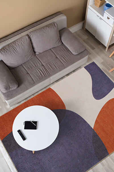 ARTLOOP Funk Şönil Dokuma Pamuk Polyester Renkli Halı AL 403