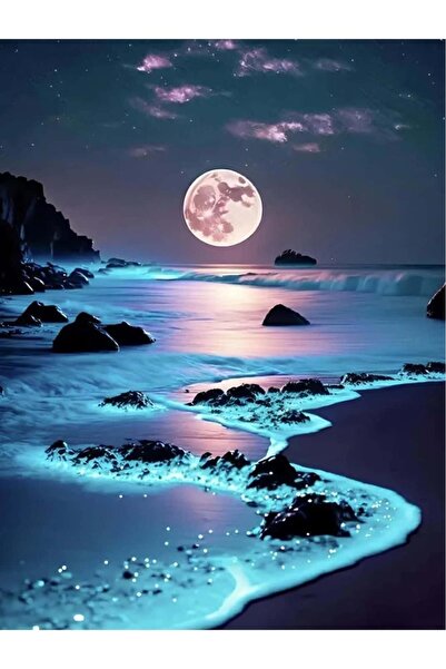 Dialands Mozaik Full Moon and Mystic Sea 50X65Cm Dialands Diamond Mosaic Painting