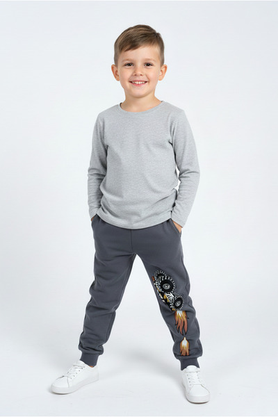 Kyron 100% Cotton Pocketed Boys' Trousers - Gray Car Printed