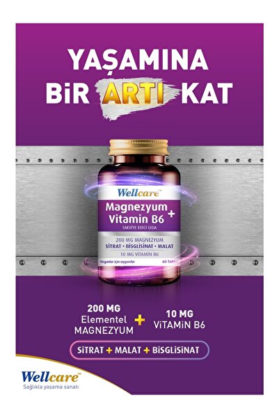 Wellcare Magnesium Vitamin B6 30 Tablets 3 Pcs