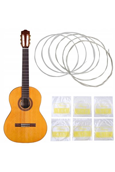 Iso Alice 6-string classical guitar string set, nylon and silver