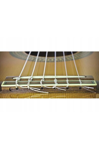 Iso Alice 6-string classical guitar string set, nylon and silver