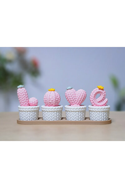 Love Braided Cactus Decor