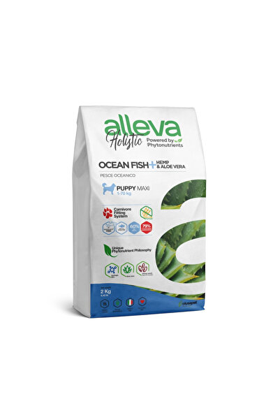 ALLEVA Holistik Balıklı Tahılsız Maxi Irk Yavru Köpek Maması 2 Kg
