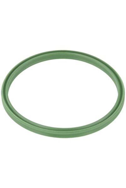 FEBEST Furtun Admisie VW BORA RINGAH-002