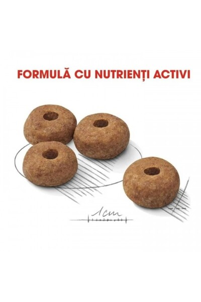 Royal Canin Royal Canin Dry Dog Food, Medium, Sterilised, 12kg