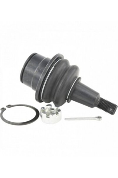 FEBEST Pivot brat inferior fata 2120-TFDLF