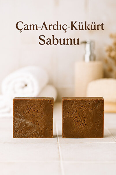 Newleaf 2 قطعة صابون الصنوبر والعنبر الكبريتي - صابون التنظيف العميق المضاد للبكتيريا 110 جرام