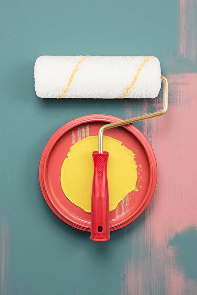 Dekor Export Paint Roller 20 cm