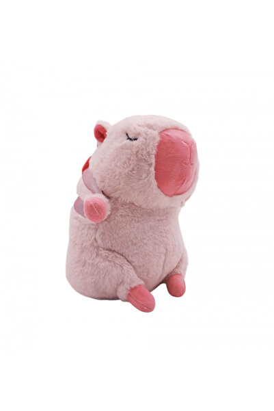 Cute Capybar Backpack Toy Plush 30cm