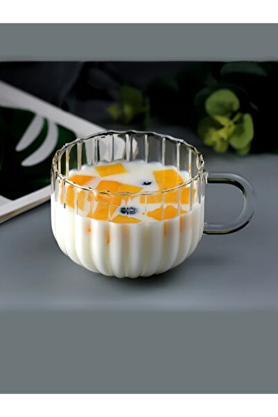 EVİMDM كوب زجاجي شفاف مخطط سعة 250 مل - كوب للقهوة والمشروبات مصنوع من البورو...