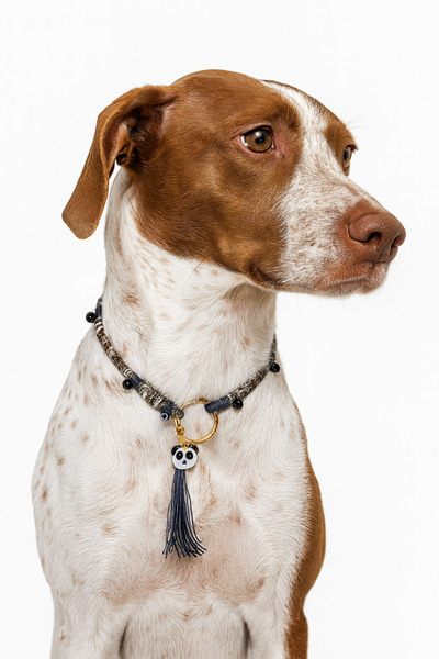 She Sells قلادة كلب مصنوعة يدويًا بتصميم خاص مع خرز العين الشريرة وشراشيب (40...