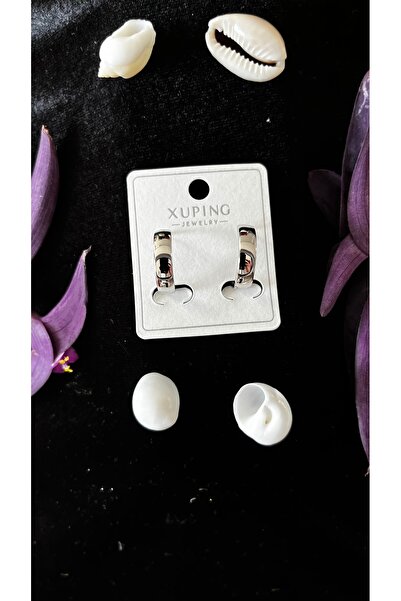 XUPING JEWELRY Xuping Gümüş Renk Paslanmaz Çelik Halka Küpe