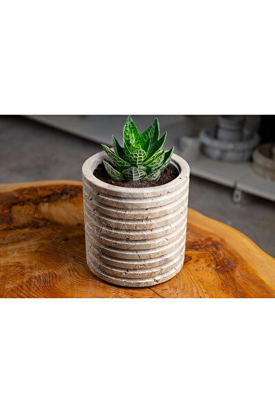 Gayastone Traverten Doğal Taş Saksı – El Yapımı Dekoratif Çiçek & Bitki Saksısı