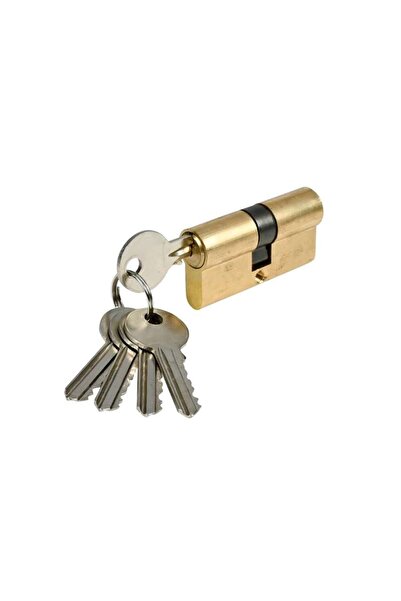 Benson Cilindru usa 60 mm profil egal 30 x 30 , alama , 5 chei