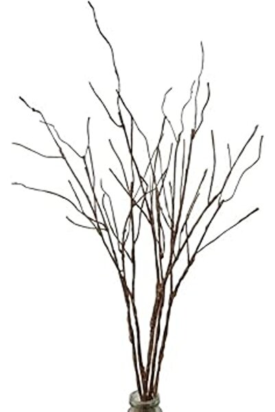 Generic 5PCS Artificial Lifelike Curly Willow Branches Decorative Dried Twigs, 25.9 Inches Fake Bendable Sti