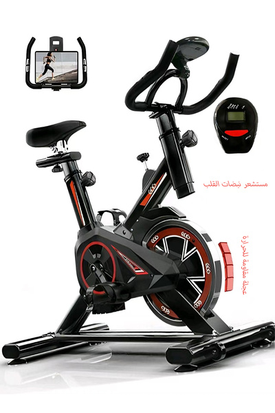 EGG Luxury Home Spinning Bike with LCD, Adjustable Seat & Armrest, Silent Ride, 135kg Capacity