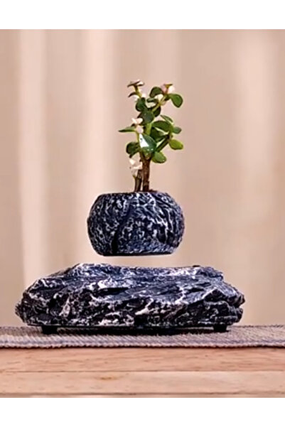 Generic Floating Plant Pot with a Stone-Like Design