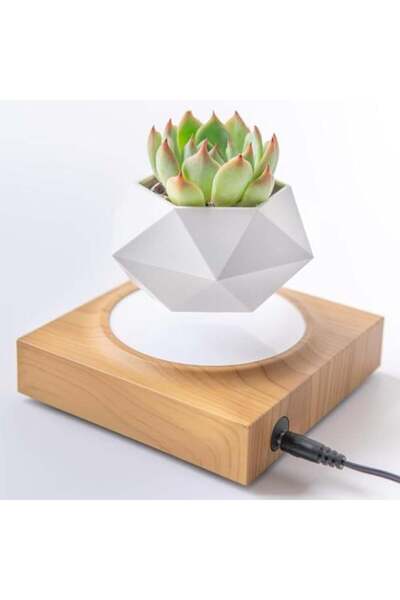 Generic Floating Plant Pot with Wooden Base