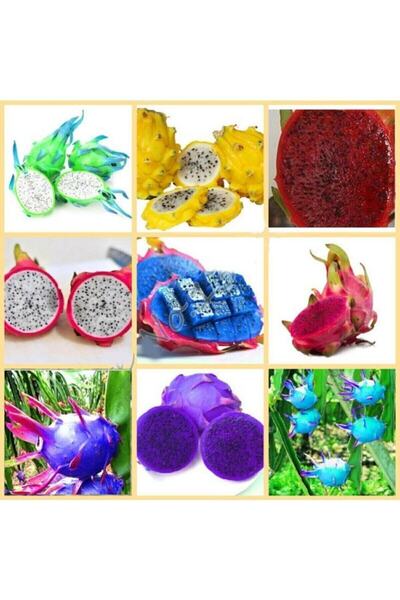 Genel Markalar 9 Adet 9 Renk Tropikal Dragon Fruit (pitaya) Meyvesi Tohumu