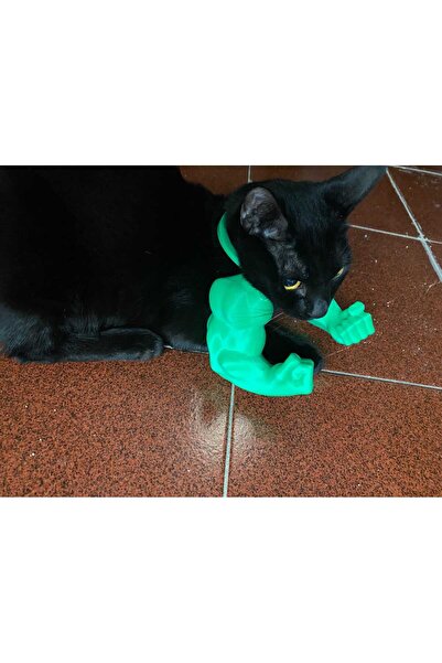 SG ARCHE 3D TAKMA KEDİ KOLU BASKISI