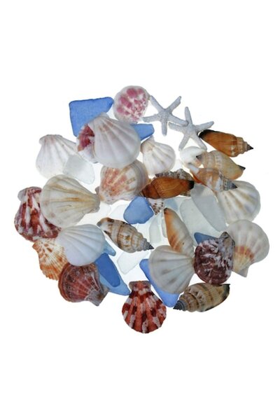 SHOPIENS Decoratiune Shopiens® in forma de Scoici Decorative, Stelute si Piet...